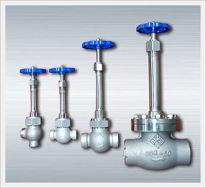 Cryogenic Globe Valve