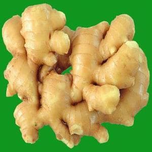 High quality Ginger Extract