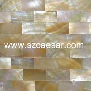 shell mosaic