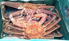 Frozen snowcrab