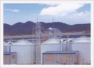 Drying & Storage silo