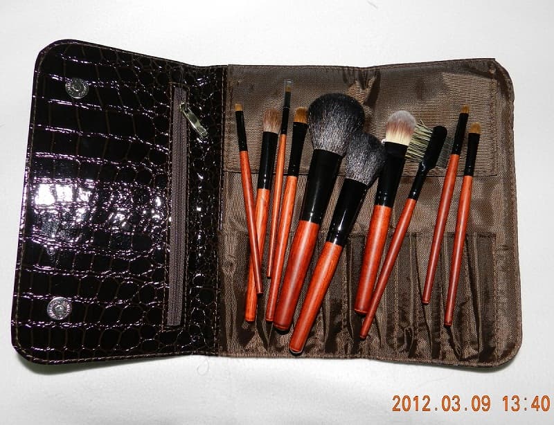 10pcs Makeup Brush Set with Pouch