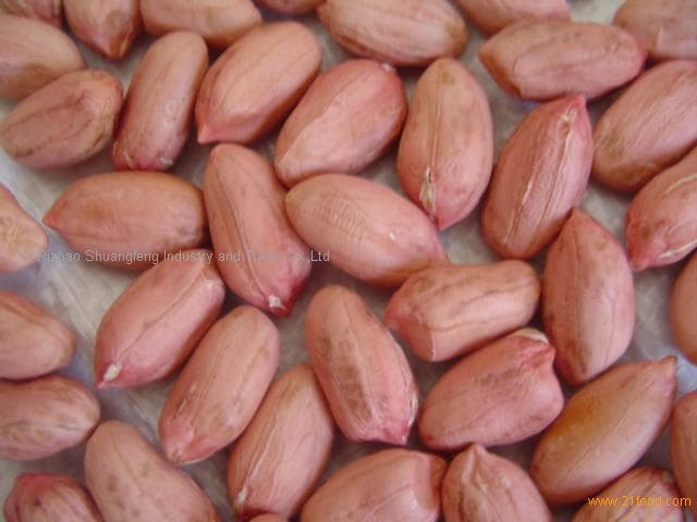 Raw peanuts, Large type , Long type peanuts 24/28, 28/32, 34/38, 38/42, 45/55 ,  new crop 2012