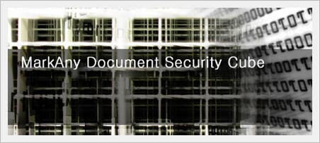 Document Security Cube