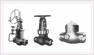PSB( Pressure Seal Bolted) Valves