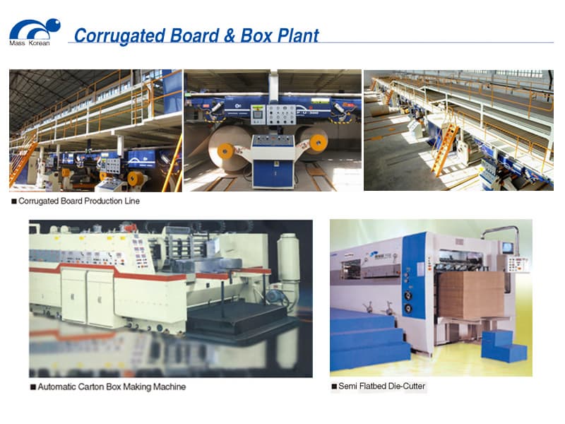 Corrugated Board & Box Plant