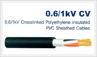 Crosslinked Polyethylene Insulated PVC Sheathed Cables