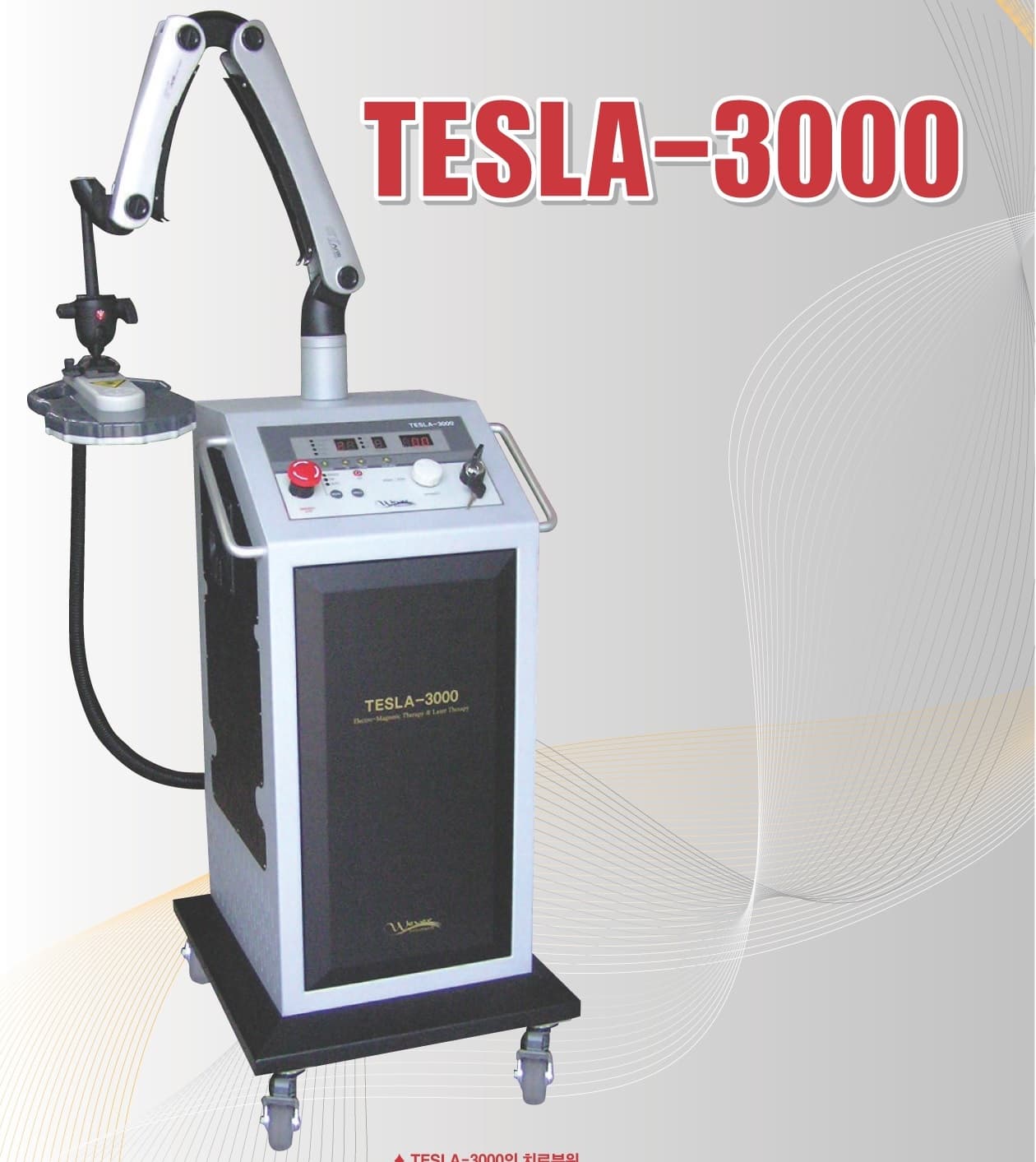 Electro-Magnetic Therapy - TESRA-3000