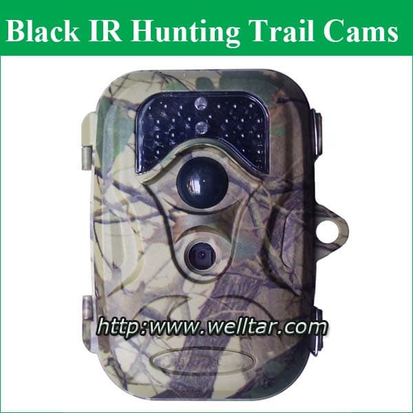 live video cameras for deer hunting