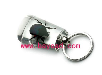 real insect acrylic lucite keychains,keyring,unique gift,business gift,customized gift