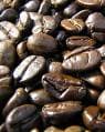 Civet Coffee (kopi Luwak)