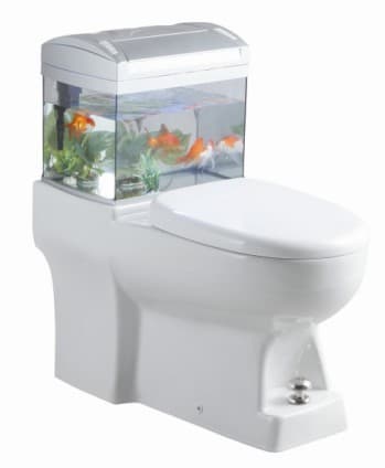 a litre fish tank toilet