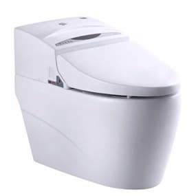 China sanitary ware Intelligent siphonic one-piece toilet