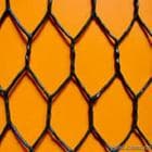pvc coated hexagonal wire mesh(manufacturer)
