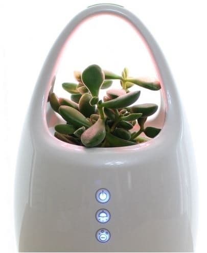 Flower pot type air purifier 