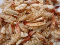 shrimp shell