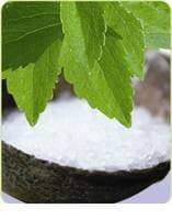Sell Stevia Extract