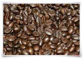 Luwak coffee / Civet coffee
