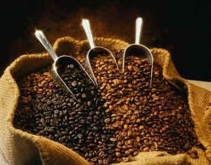 The Real Luwak coffee / civet coffee
