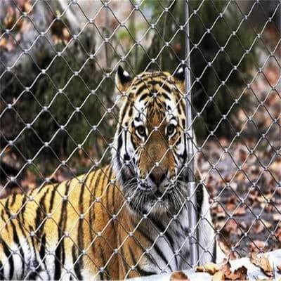 tiger enclosure protection zoo wire mesh