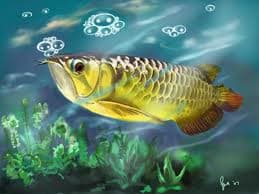24k Golden Arowana fishes