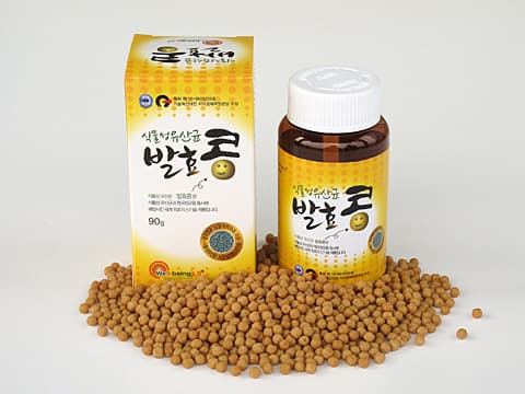 Vegetable-origin probiotic fermented soybean