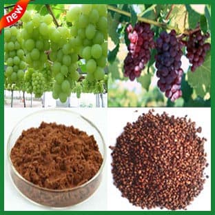 Grape Seed Extract