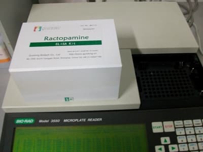 Ractopamine Residue Elisa Kit