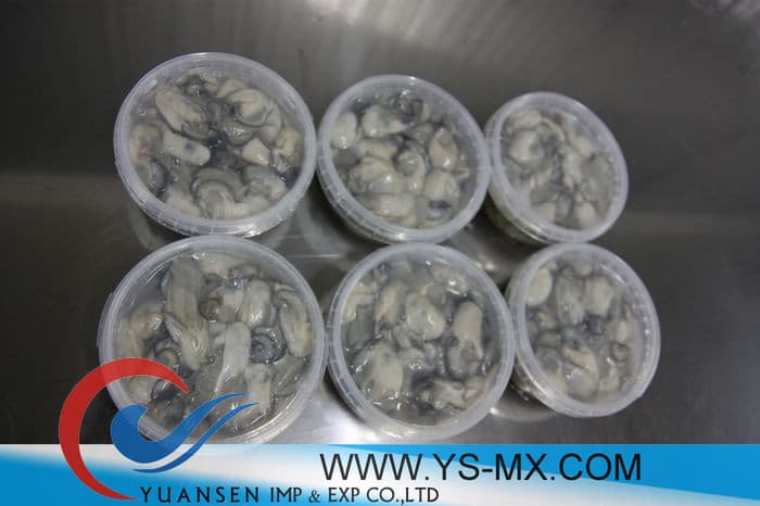 Frozen Pasteurized Oyster meat