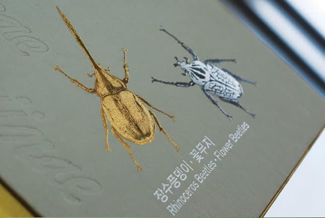 Metal Sticker for Book Cover_beetle