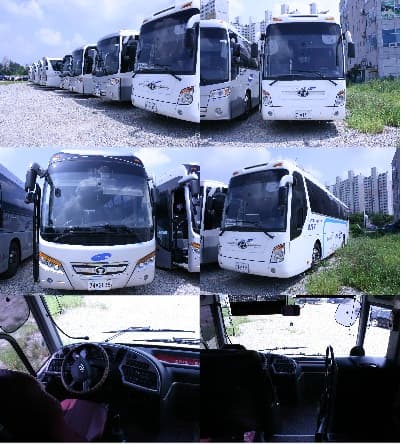 Hyundai Used bus