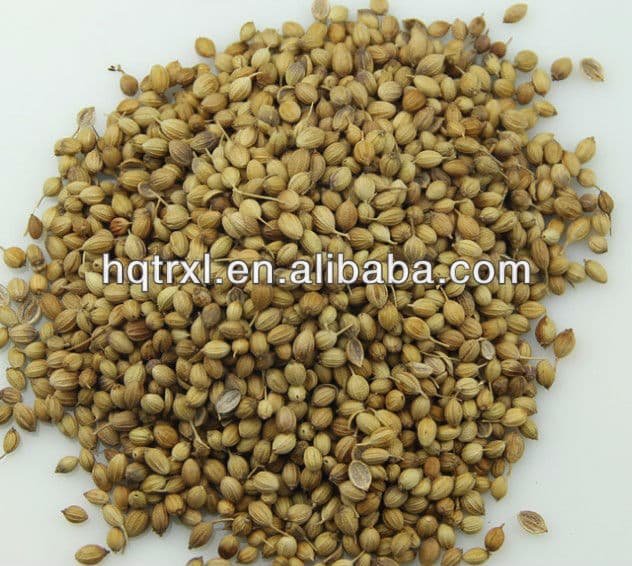 Coriander Oil,Coriander seed oil