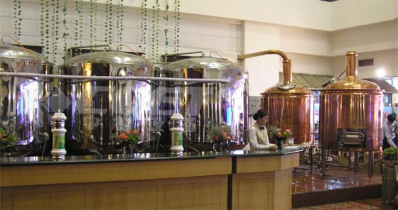 Hotel Draught Beer Brewing Equipment
