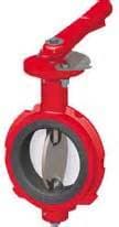 FMC  Butterfly Valve