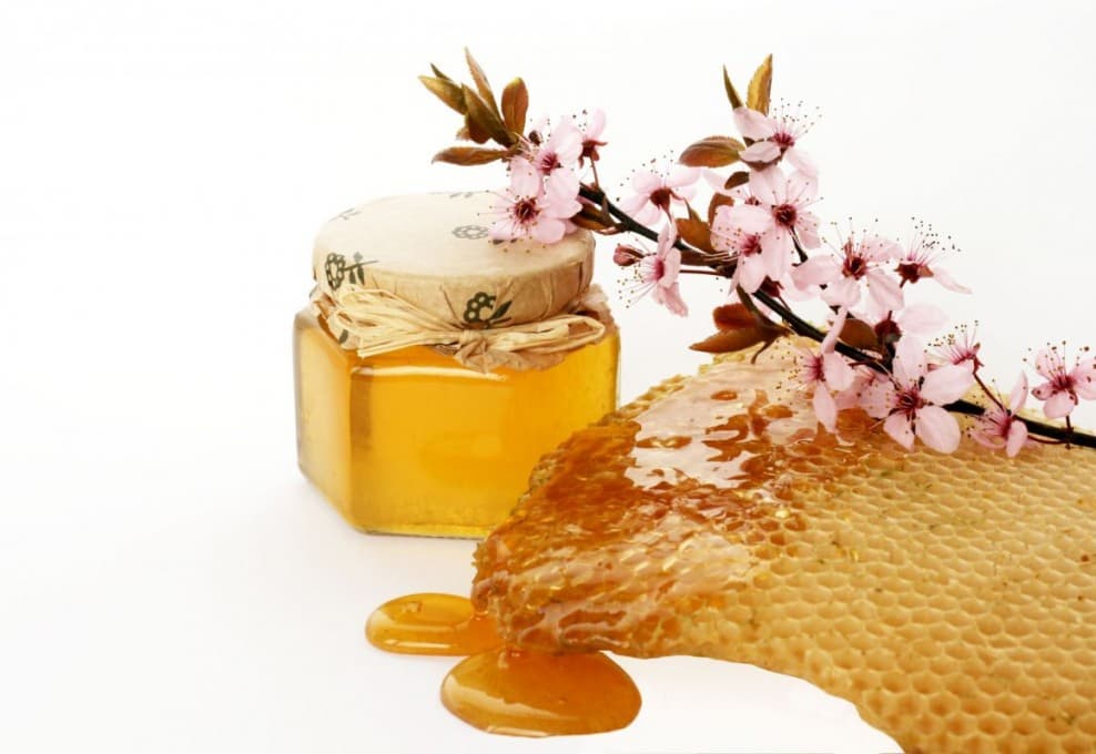 Premium Uniquely flavoured pine tree honey