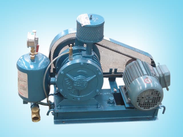 FH80 rotary lobe blower