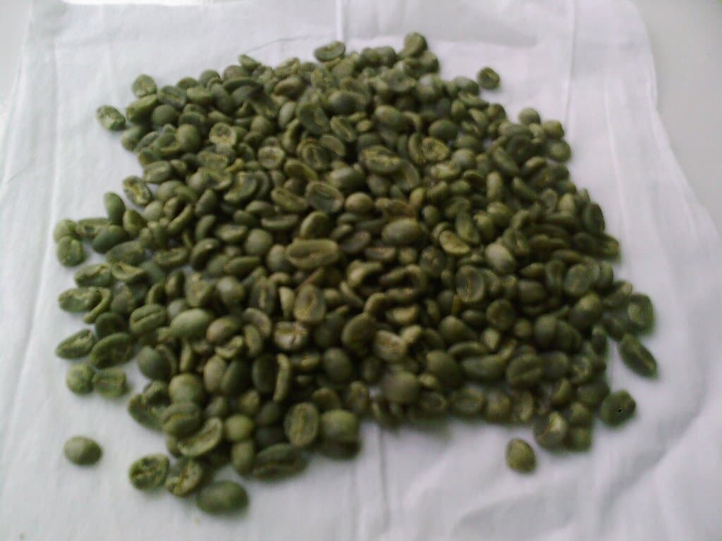 Arabica Gayo Kopi Luwak Green Beans