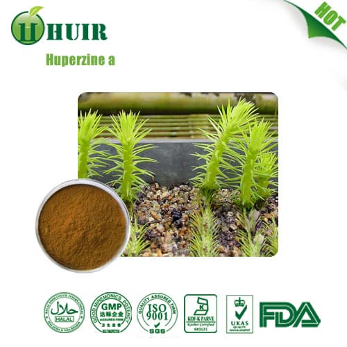 Huperzine A(Huperzia Serrata Extract)