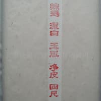 rice paper and xuan paper