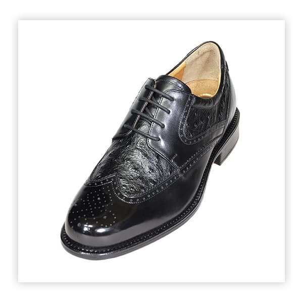 Men's Genuine Leather Dress Shoes / MEX218