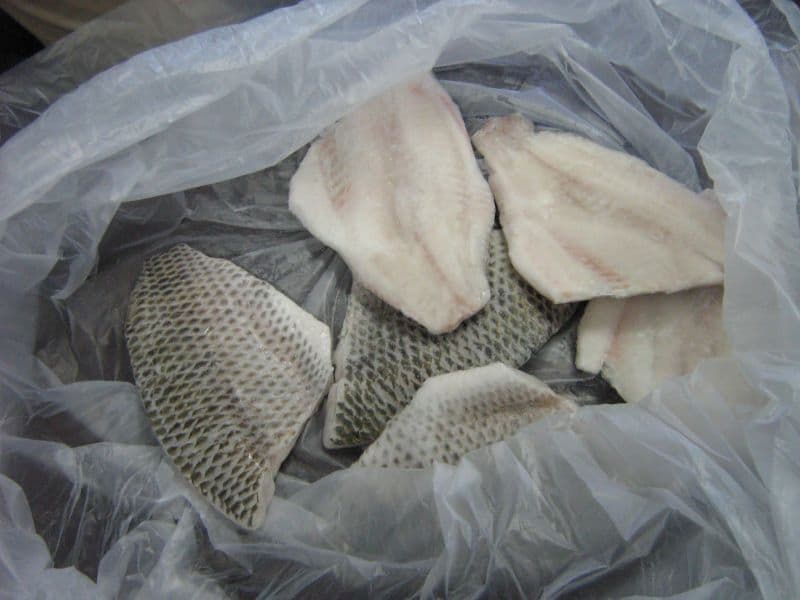 Frozen Tilapia Fillet