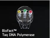 BioFact Taq DNA Polymerase