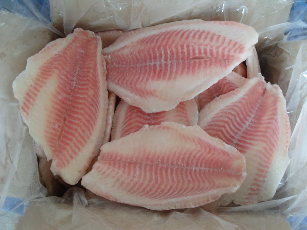 Frozen Tilapia CO fillet