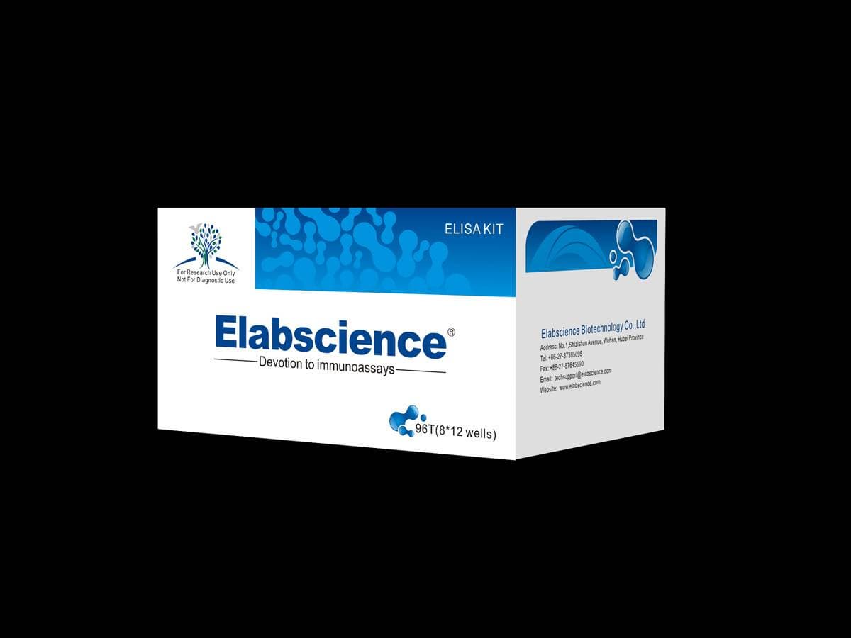 E-EL-M1232 Mouse VEGFR3/Flt4 Elisa kit