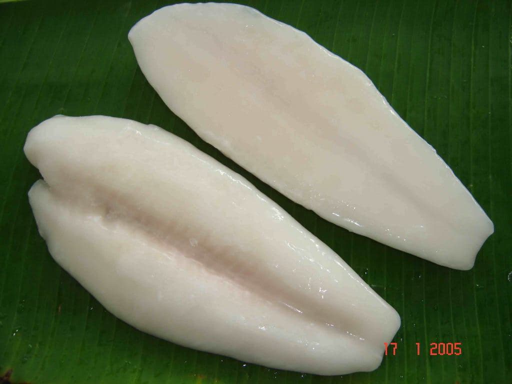 Pangasius Fillet, white meat, well-trimmed