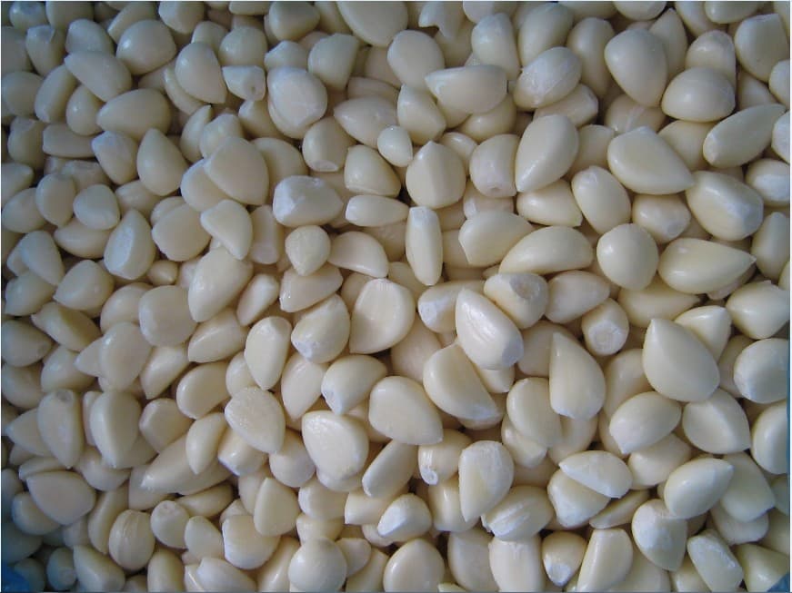 supply frozen garlic