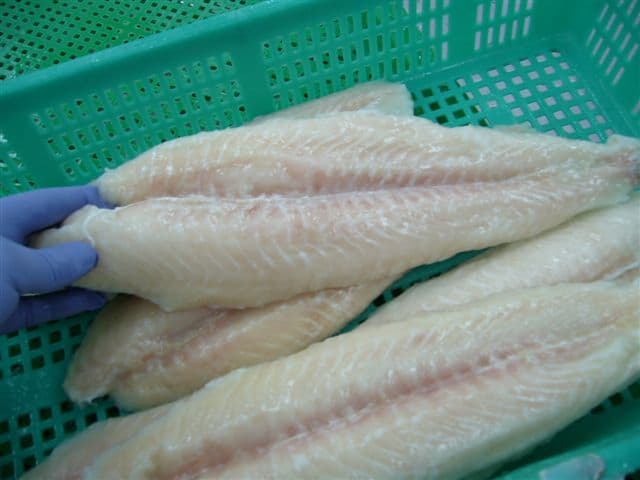 Pangasius Fillet, white meat, well-trimmed, glazing from Viet Nam