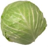 Chinese Fresh Cabbage