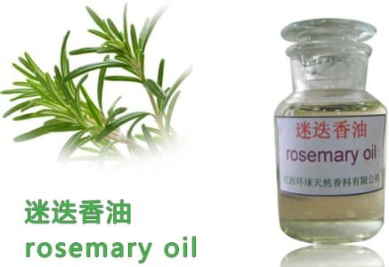 Pure Aroma Essential Oil Natural Rosemary Oil,rosemary esssential oil,8000-25-7