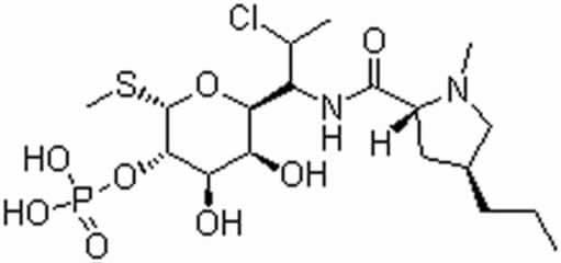 Clindamycin phosphate[Cas:24729-96-2]